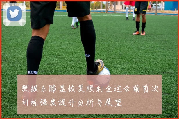 樊振东膝盖恢复顺利全运会前首次训练强度提升分析与展望