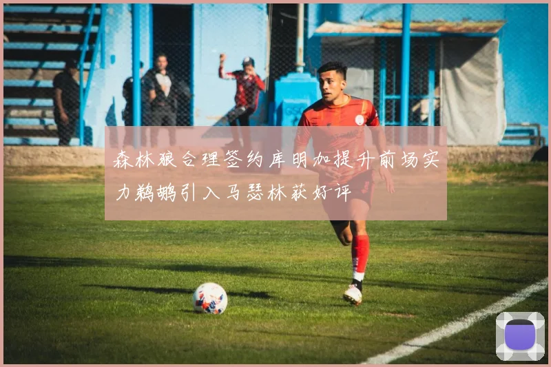 森林狼合理签约库明加提升前场实力鹈鹕引入马瑟林获好评