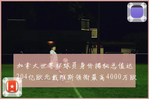 加拿大世界杯球员身价揭秘总值达204亿欧元戴维斯领衔最高4000万欧