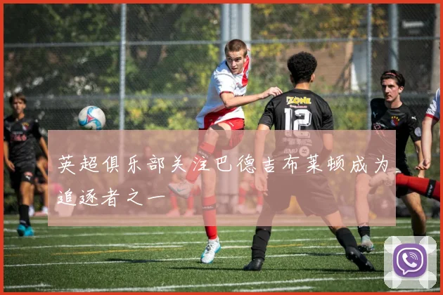 英超俱乐部关注巴德吉布莱顿成为追逐者之一